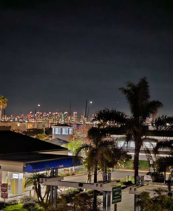 San Diego downtown skyline after dark with palm trees